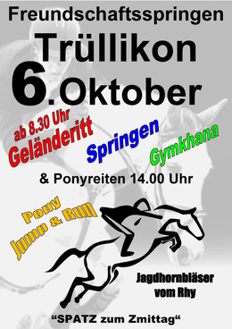 Flyer Freundschaftsspringen